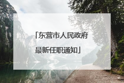 东营市人民政府最新任职通知