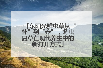 东阳光鲜虫草从“补”到“养”，冬虫夏草在现代养生中的新打开方式