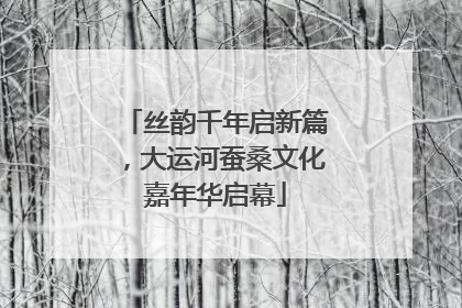 丝韵千年启新篇，大运河蚕桑文化嘉年华启幕