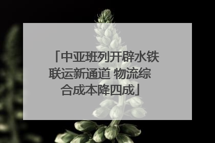 中亚班列开辟水铁联运新通道 物流综合成本降四成