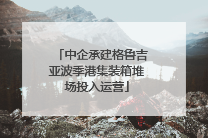 中企承建格鲁吉亚波季港集装箱堆场投入运营