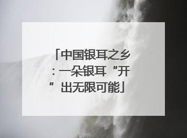 中国银耳之乡：一朵银耳“开”出无限可能