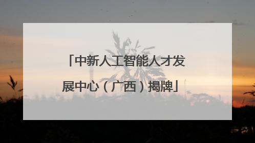 中新人工智能人才发展中心（广西）揭牌