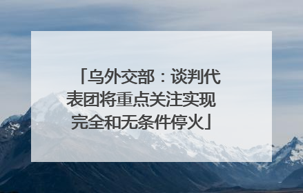 乌外交部：谈判代表团将重点关注实现完全和无条件停火