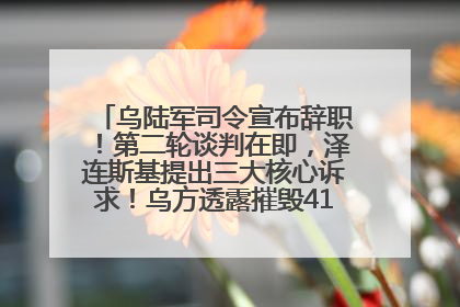 乌陆军司令宣布辞职！第二轮谈判在即，泽连斯基提出三大核心诉求！乌方透露摧毁41架俄战略轰炸机