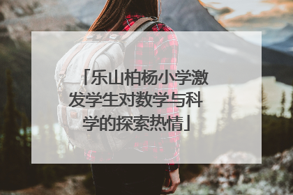 乐山柏杨小学激发学生对数学与科学的探索热情