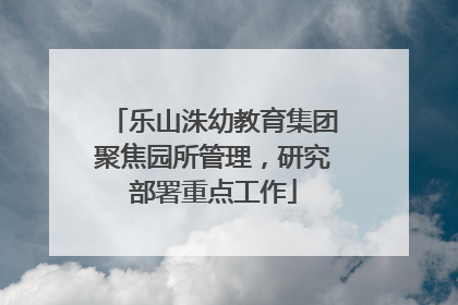 乐山洙幼教育集团聚焦园所管理，研究部署重点工作