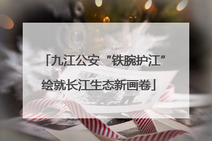 九江公安“铁腕护江”绘就长江生态新画卷