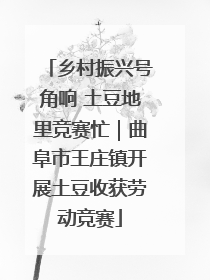 乡村振兴号角响 土豆地里竞赛忙｜曲阜市王庄镇开展土豆收获劳动竞赛