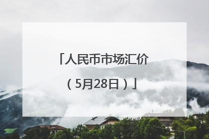 人民币市场汇价（5月28日）