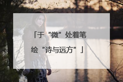 于“微”处着笔 绘“诗与远方”