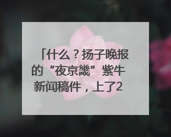 什么？扬子晚报的“夜京畿”紫牛新闻稿件，上了2025年镇江中考模拟卷！