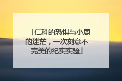仁科的恐惧与小鹿的迷茫，一次刻意不完美的纪实实验