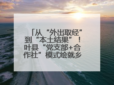 从“外出取经”到“本土结果”！叶县“党支部+合作社”模式绘就乡村振兴新图景