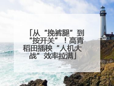 从“挽裤腿”到“按开关”！高青稻田插秧“人机大战”效率拉满