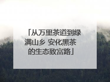 从万里茶道到绿满山乡 安化黑茶的生态致富路