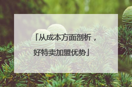 从成本方面剖析，好特卖加盟优势