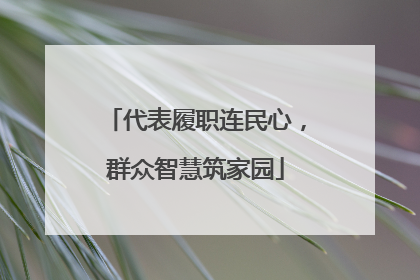 代表履职连民心，群众智慧筑家园