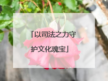 以司法之力守护文化瑰宝