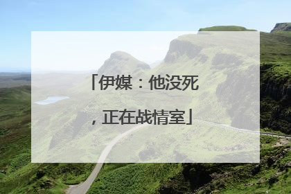 伊媒：他没死，正在战情室