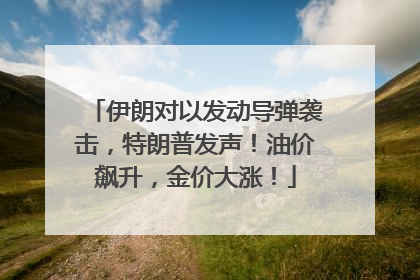 伊朗对以发动导弹袭击，特朗普发声！油价飙升，金价大涨！