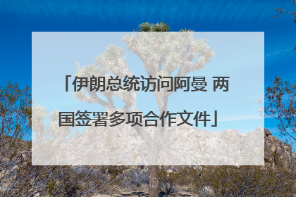伊朗总统访问阿曼 两国签署多项合作文件