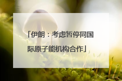 伊朗：考虑暂停同国际原子能机构合作