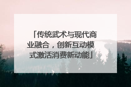 传统武术与现代商业融合，创新互动模式激活消费新动能
