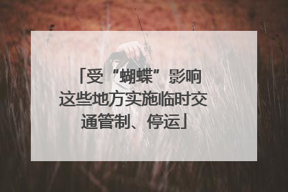 受“蝴蝶”影响 这些地方实施临时交通管制、停运
