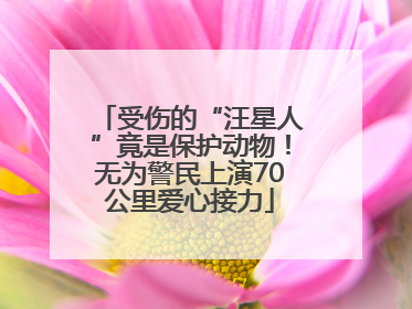 受伤的“汪星人”竟是保护动物！无为警民上演70公里爱心接力