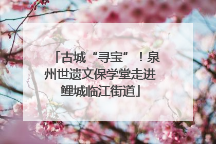 古城“寻宝”！泉州世遗文保学堂走进鲤城临江街道