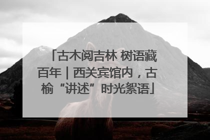 古木阅吉林 树语藏百年｜西关宾馆内，古榆“讲述”时光絮语