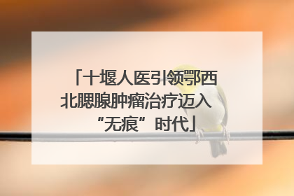 十堰人医引领鄂西北腮腺肿瘤治疗迈入“无痕”时代