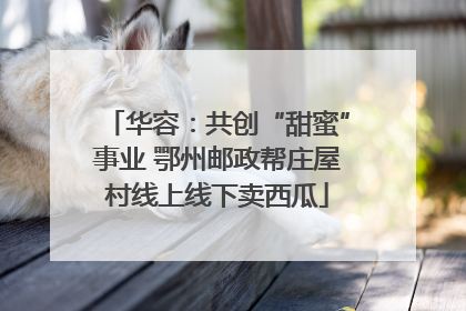 华容：共创“甜蜜”事业 鄂州邮政帮庄屋村线上线下卖西瓜