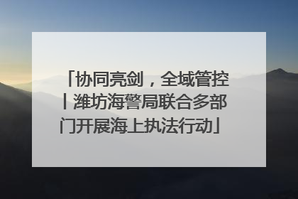 协同亮剑，全域管控丨潍坊海警局联合多部门开展海上执法行动