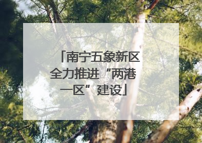 南宁五象新区全力推进“两港一区”建设
