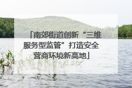 南郊街道创新“三维服务型监管”打造安全营商环境新高地