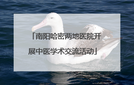 南阳哈密两地医院开展中医学术交流活动