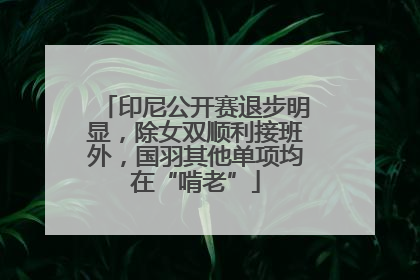 印尼公开赛退步明显，除女双顺利接班外，国羽其他单项均在“啃老”