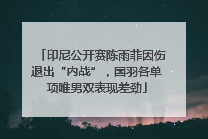 印尼公开赛陈雨菲因伤退出“内战”，国羽各单项唯男双表现差劲