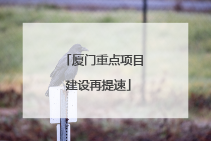厦门重点项目建设再提速