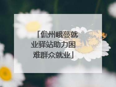 儋州峨蔓就业驿站助力困难群众就业