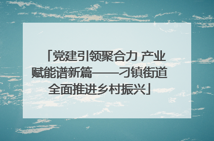 党建引领聚合力 产业赋能谱新篇——刁镇街道全面推进乡村振兴