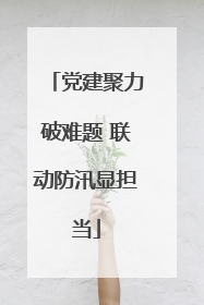 党建聚力破难题 联动防汛显担当