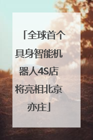 全球首个具身智能机器人4S店将亮相北京亦庄