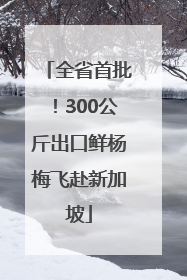 全省首批！300公斤出口鲜杨梅飞赴新加坡
