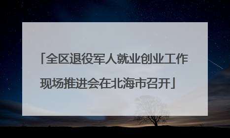 全区退役军人就业创业工作现场推进会在北海市召开