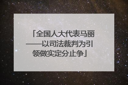 全国人大代表马丽——以司法裁判为引领做实定分止争