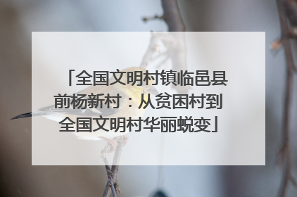 全国文明村镇临邑县前杨新村：从贫困村到全国文明村华丽蜕变