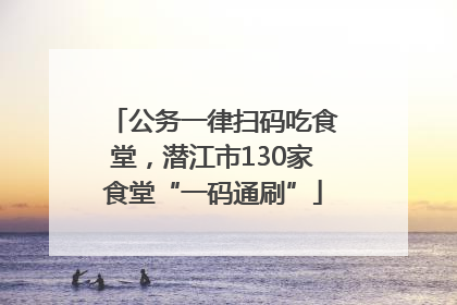 公务一律扫码吃食堂，潜江市130家食堂“一码通刷”